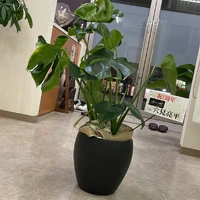 画像253